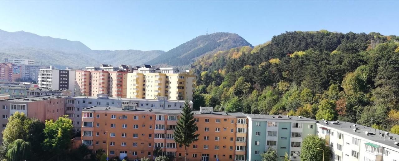 Ama Apartment Mountain View & Parking Braşov Eksteriør billede